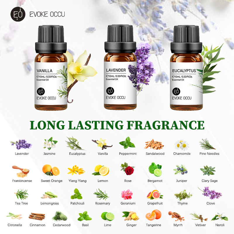 EVOKE OCCU 10 ml ätherisches Ö – Soap Making Ingredient Bewertung und Preis